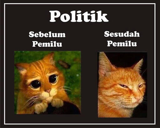 Beberapa Meme Kucing Yang Bisa Buat Agan Ngakak