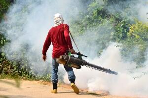 Tips Berkunjung ke Daerah Endemik Malaria