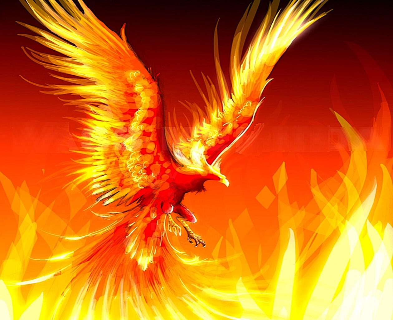 Phoenix spirit. Феникс. Огненные крылья. Phoenix spirit. Птица феникс.