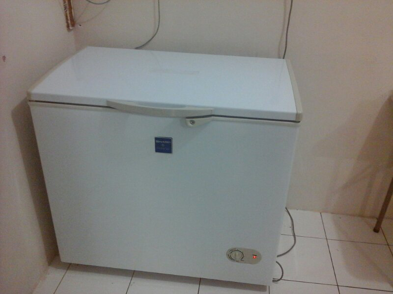 kulkas freezer sharp jarang pakai