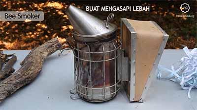 All About Honeybee (Lebah Madu), Serangga Kecil Yang Mengagumkan