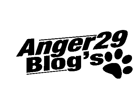 &quot;anger29&quot;