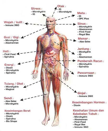 20 Fakta Gila Tubuh Manusia