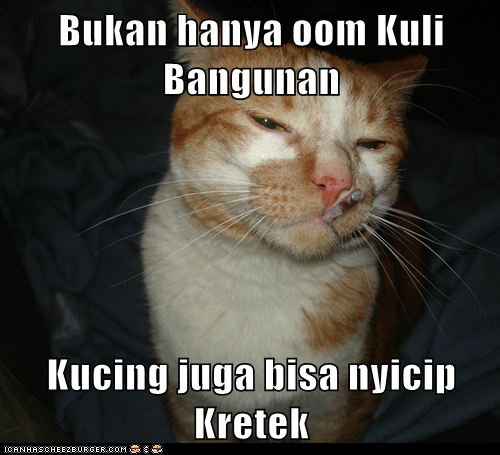 Beberapa Meme Kucing Yang Bisa Buat Agan Ngakak