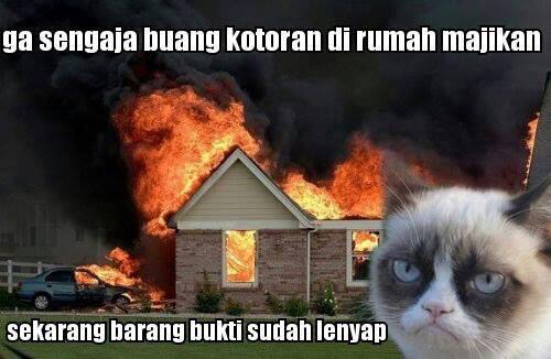 Beberapa Meme Kucing Yang Bisa Buat Agan Ngakak