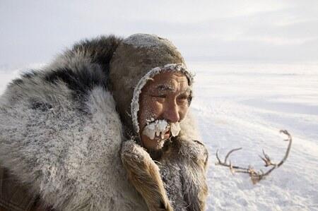 Kehidupan Kelompok Pribumi Arktik Siberia Pada Suhu -51°C