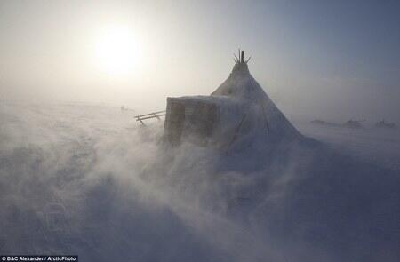 Kehidupan Kelompok Pribumi Arktik Siberia Pada Suhu -51°C