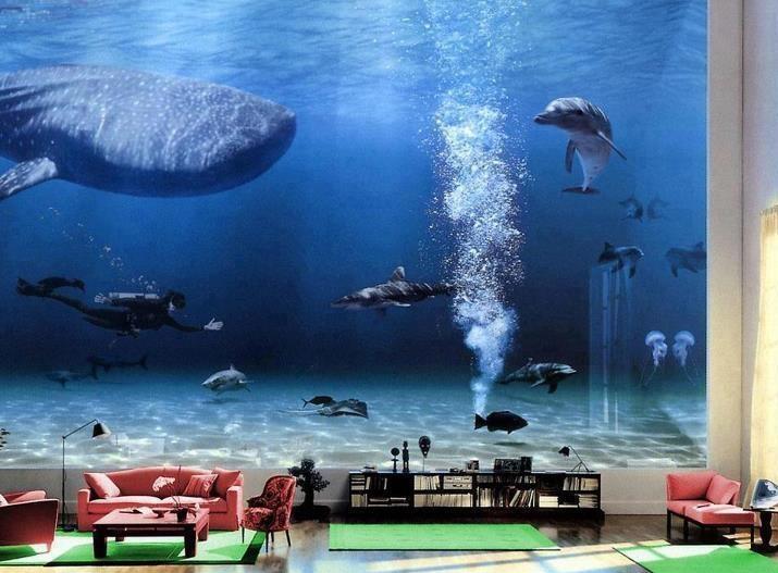 Yang Bakal Agan Lakukan Kalau Jadi Milyarder