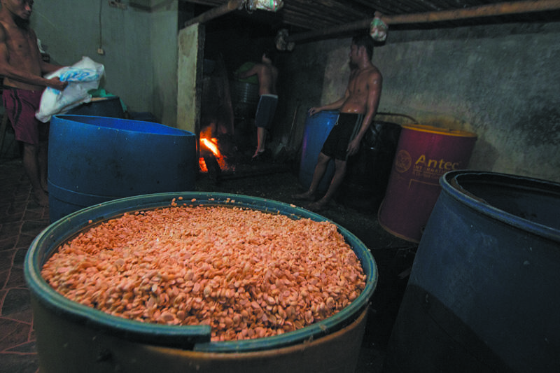 Dari Keluhan Pengrajin Tempe, Manfaat dan Gizi Tempe Tak Berubah