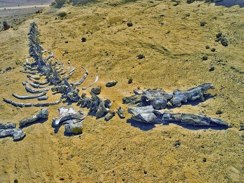 FOTO: Lembah Wadi Hitan, Tempat Bersemayamnya Para Leluhur Paus