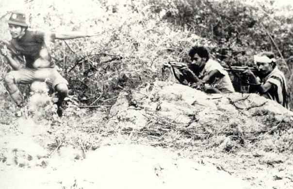 Foto-foto masa penugasan di timor-timur/Operasi SEROJA 