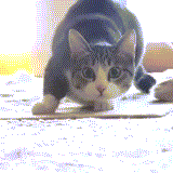 10+ GIF HANDMADE UNTUK KASKUS