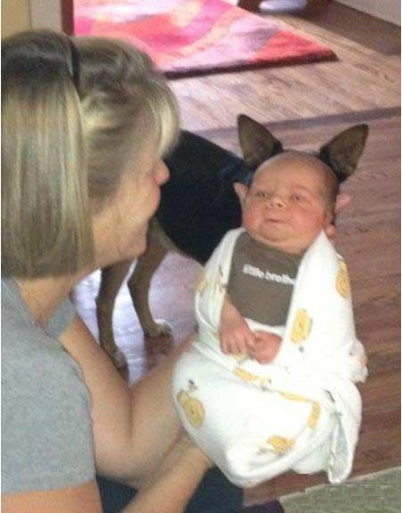 Photos Taken at Just the Right Moment