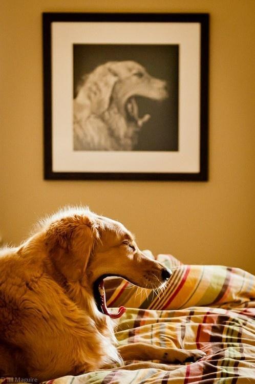 Photos Taken at Just the Right Moment