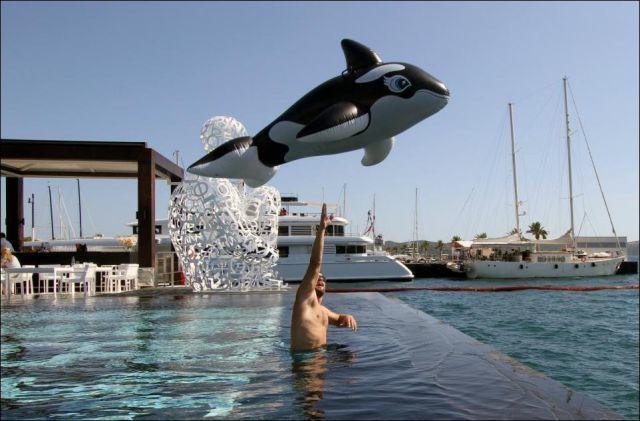 Photos Taken at Just the Right Moment