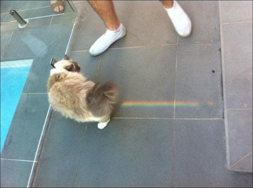 Photos Taken at Just the Right Moment