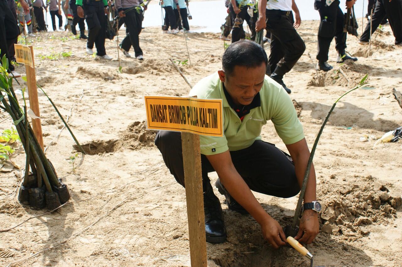 Yang Biasa Dilakukan Saat Di Pantai