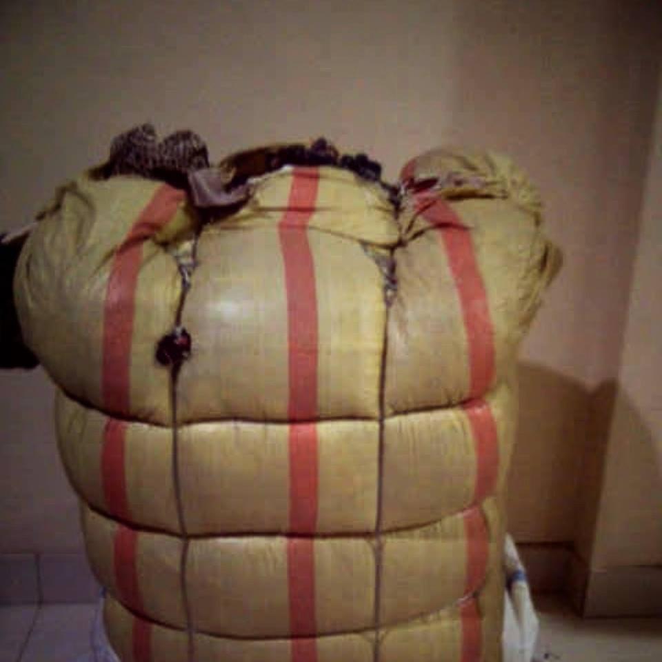BAL SEGEL IMPORT