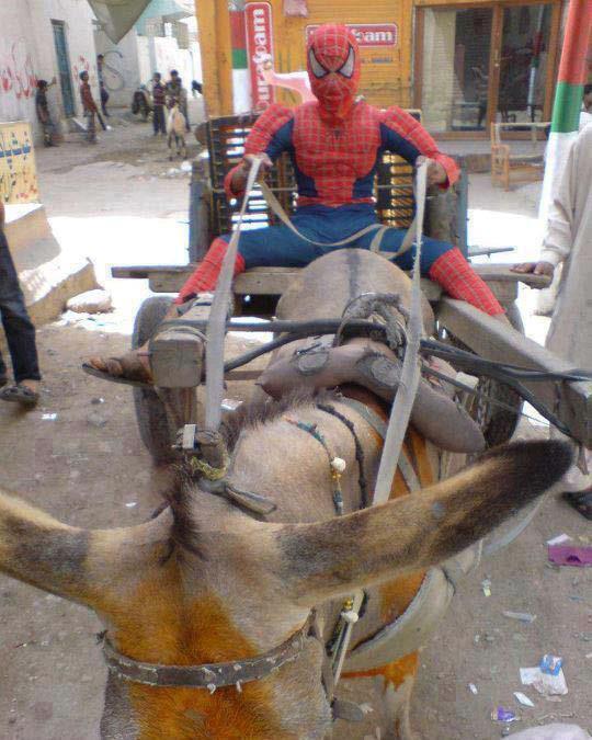 (JOKE + PICT) SISI LAIN Kehidupan Spiderman Yang Musti Agan Tau