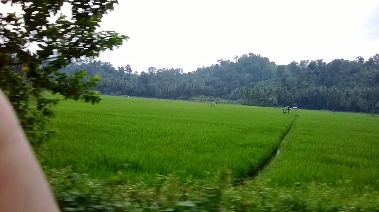 Tentang Persahabatan dan Perjalanan Ke Teluk Kiluan Lampung