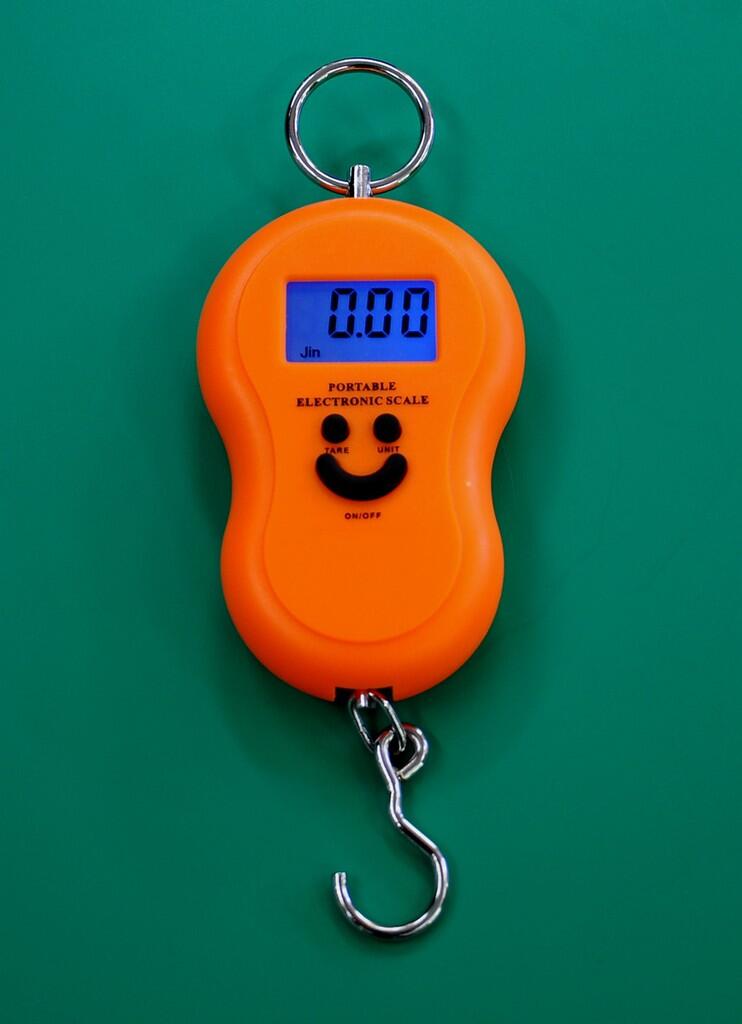 TIMBANGAN GANTUNG 40KG