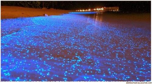 Sumber cahaya selain lampu