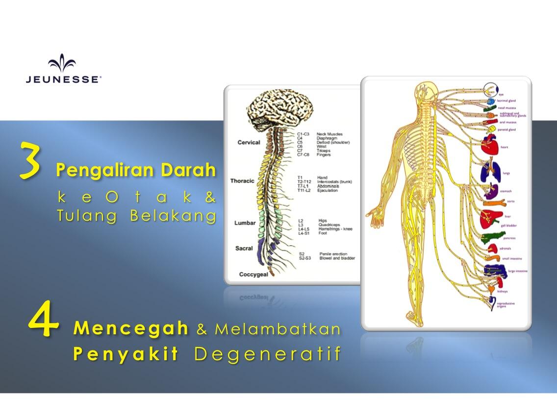 Cara Merawat Wajah Secara Alami