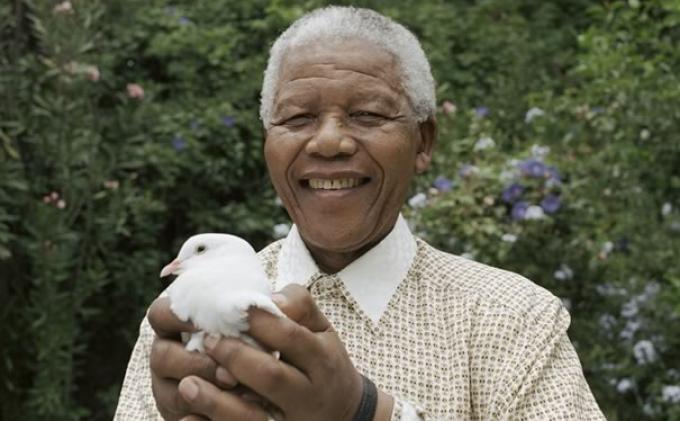 Kisah Sejarah Nelson Mandela Tokoh Pejuang Apartheid