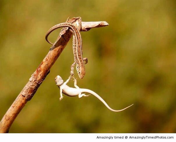 &#91;Keren&#93;Foto2 yg menakjubkan