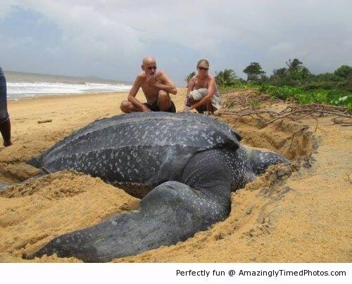 &#91;Keren&#93;Foto2 yg menakjubkan