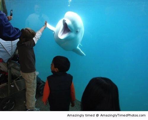 &#91;Keren&#93;Foto2 yg menakjubkan