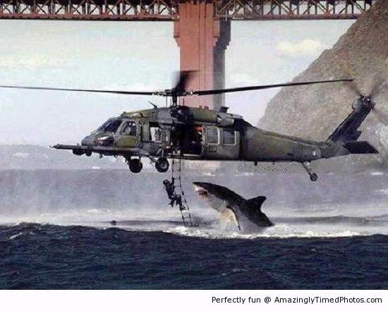 &#91;Keren&#93;Foto2 yg menakjubkan