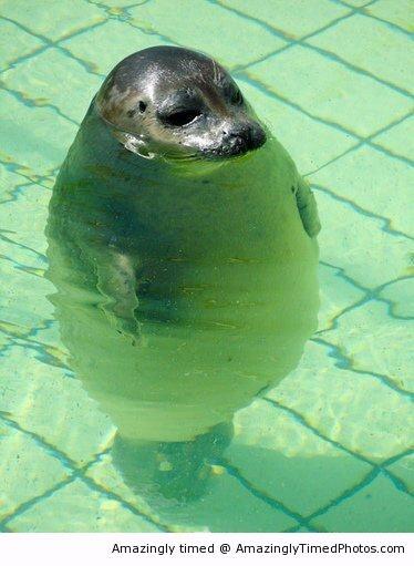 &#91;Keren&#93;Foto2 yg menakjubkan