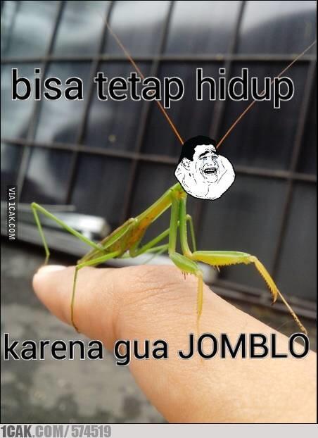 Yg Ngerti Joke Nya Berarti Berpengetahuan Luas...