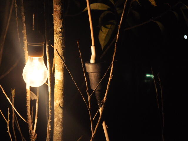 Professional Photography / Tidak Monggo...