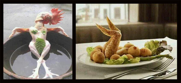 Ayam Kampus Tanpa Bulu kemal*an