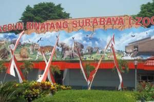 Kota Surabaya Tahun 2015, Lebih Maju dari Jakarta? 