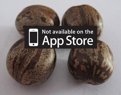 &quot;Not Available on App Store&quot; Versi Indonesia &quot;Mainan Zaman Dulu&quot;