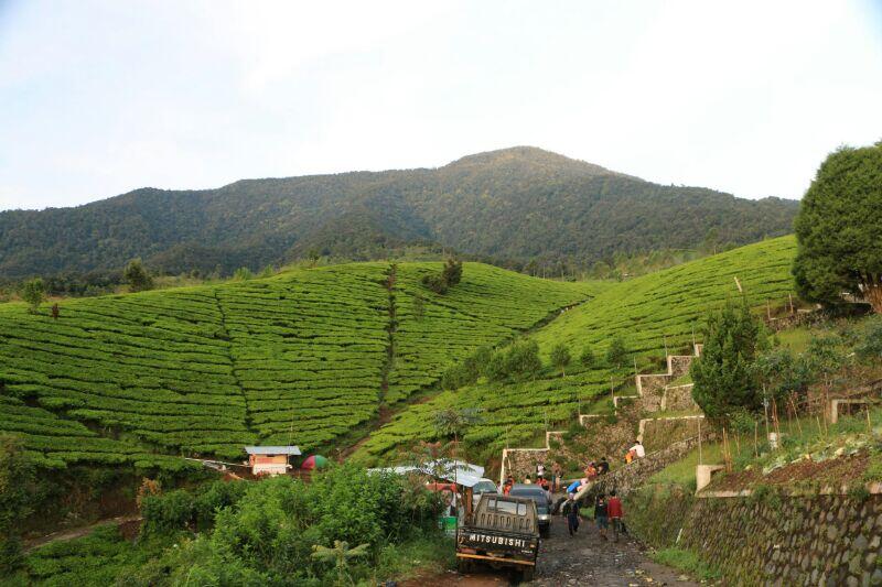 komunitas temanjalan_id road to mount cikuray 2821 mdll