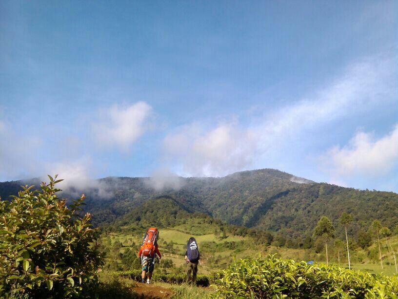 komunitas temanjalan_id road to mount cikuray 2821 mdll