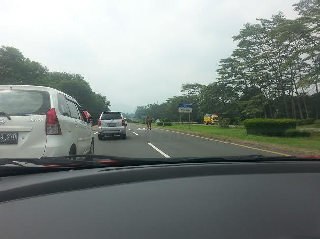 Ada Kuda Lepas gan di TOL Jagorawi &#91;NGAKAK&#93;