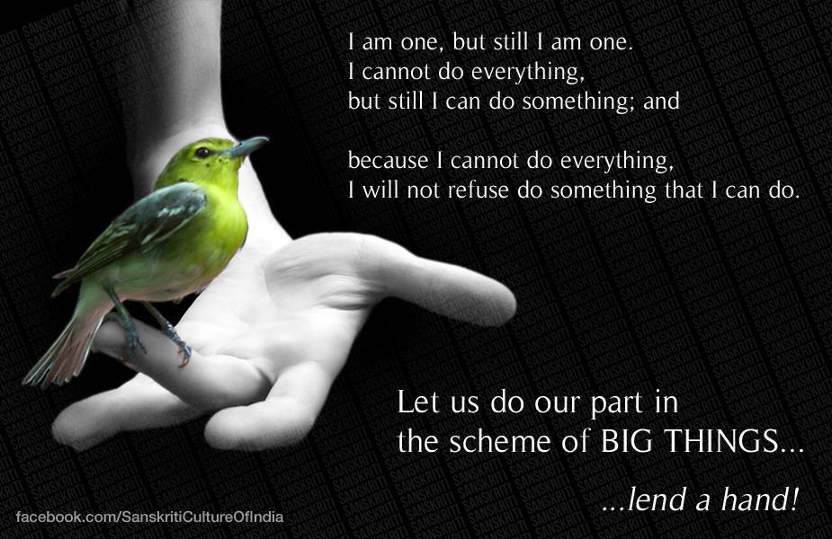 10 Burung Asli Indonesia yang Terancam Punah