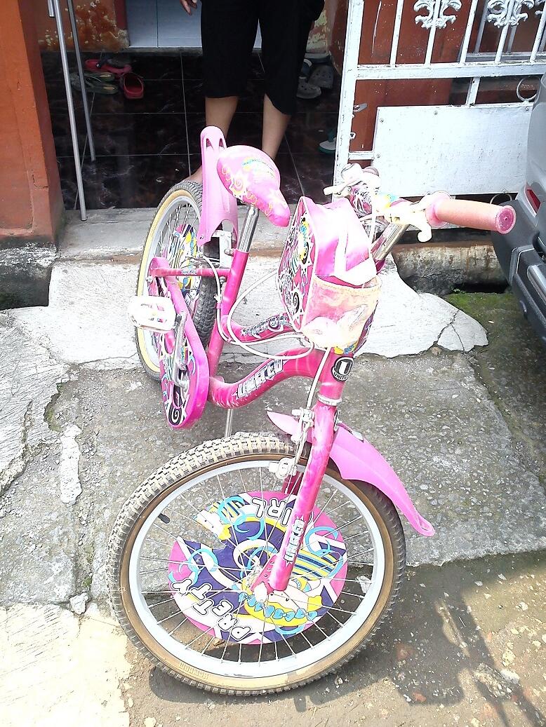 Terjual Sepeda  United pink united 16 untuk anak  perempuan 