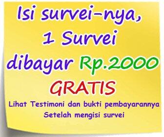 Survey Berpenghasilan