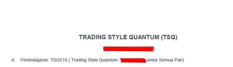 Ebook TSQ (Trading Style Quantum)