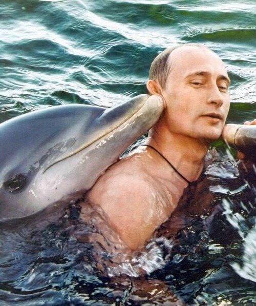 Ternyata begini kesibukan Presiden Rusia Vladimir Putin... 
