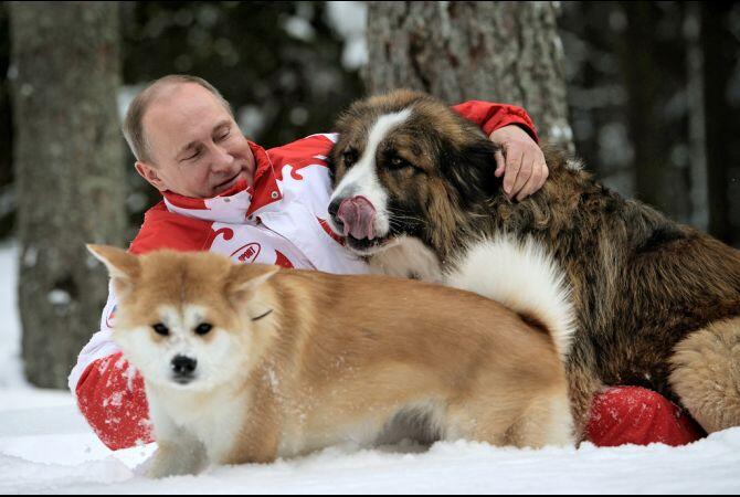 Ternyata begini kesibukan Presiden Rusia Vladimir Putin... 