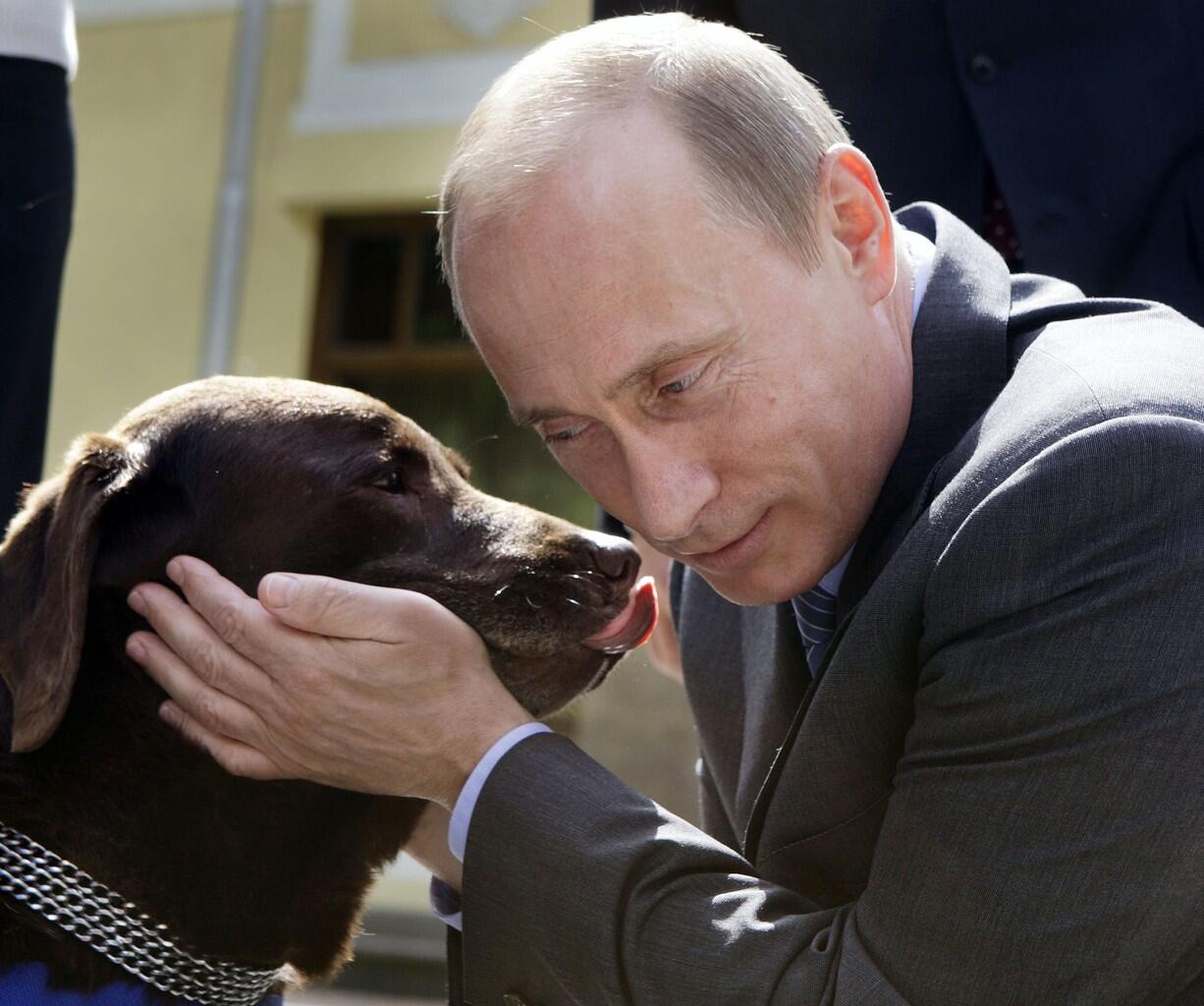 Ternyata begini kesibukan Presiden Rusia Vladimir Putin...