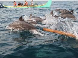 Pantai-Pantai Indah di Indonesia 