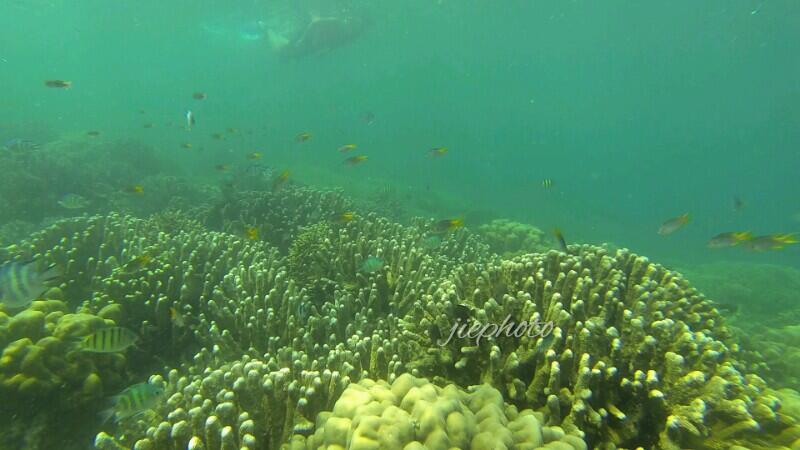 &#91;SHARE COST&#93; PAHAWANG 6-7-8 Juni | Latihan Snorkeling / Free Diving &amp; Lampion!